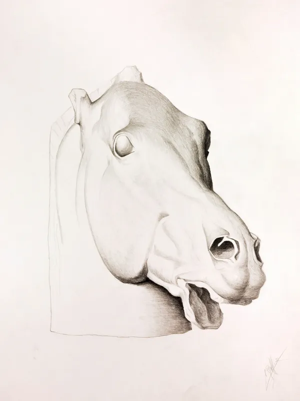 Drawing Analysis #1